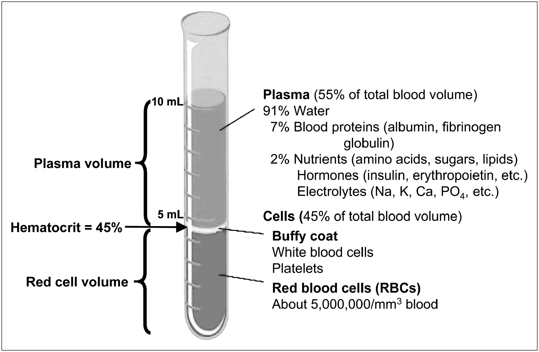 Blood Components