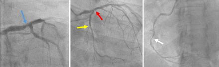 FIGURE 2.