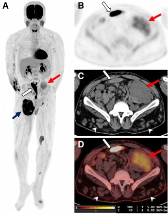 FIGURE 2.