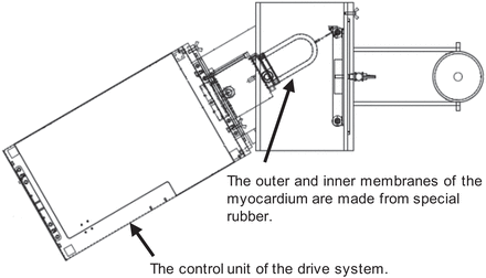 FIGURE 1.