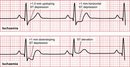 FIGURE 10.