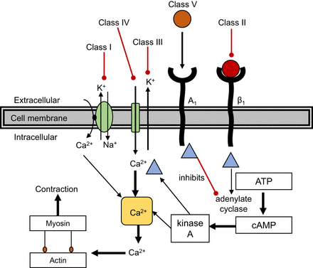 FIGURE 11.