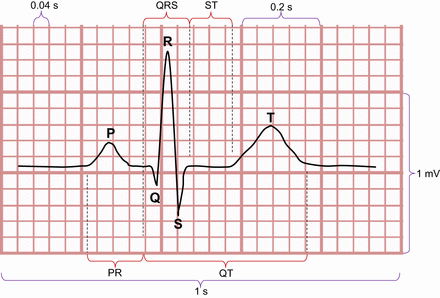 FIGURE 5.