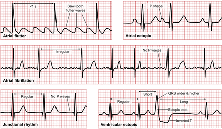 FIGURE 7.