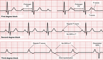 FIGURE 9.