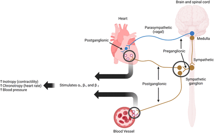 FIGURE 1.