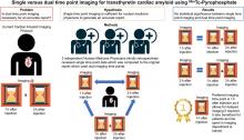 Single- Versus Dual-Time-Point Imaging for Transthyretin Cardiac Amyloid Using <sup>99m</sup>Tc-Pyrophosphate